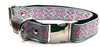 Dog Collar Set