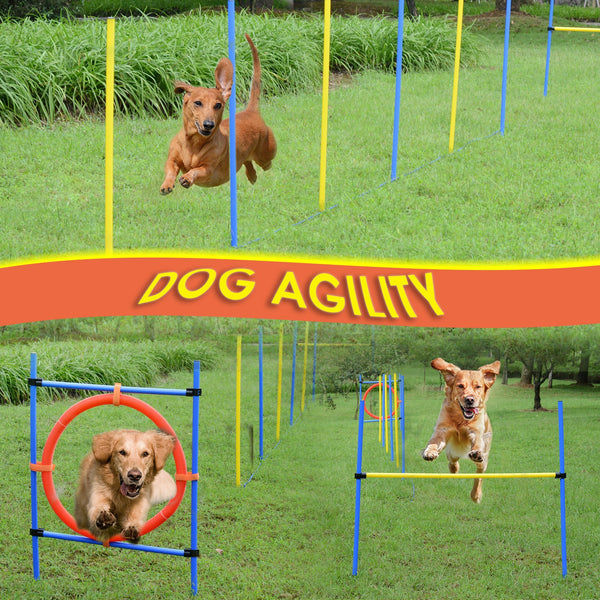 Pet Obstacle Agility Training Kit