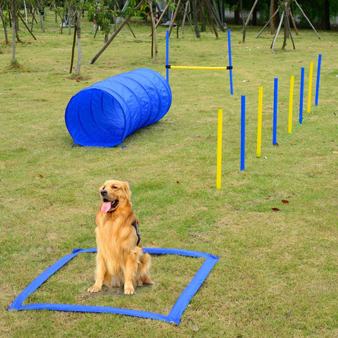 Dog Agility Starter Kit