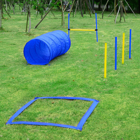 Pet Agility Training Kit